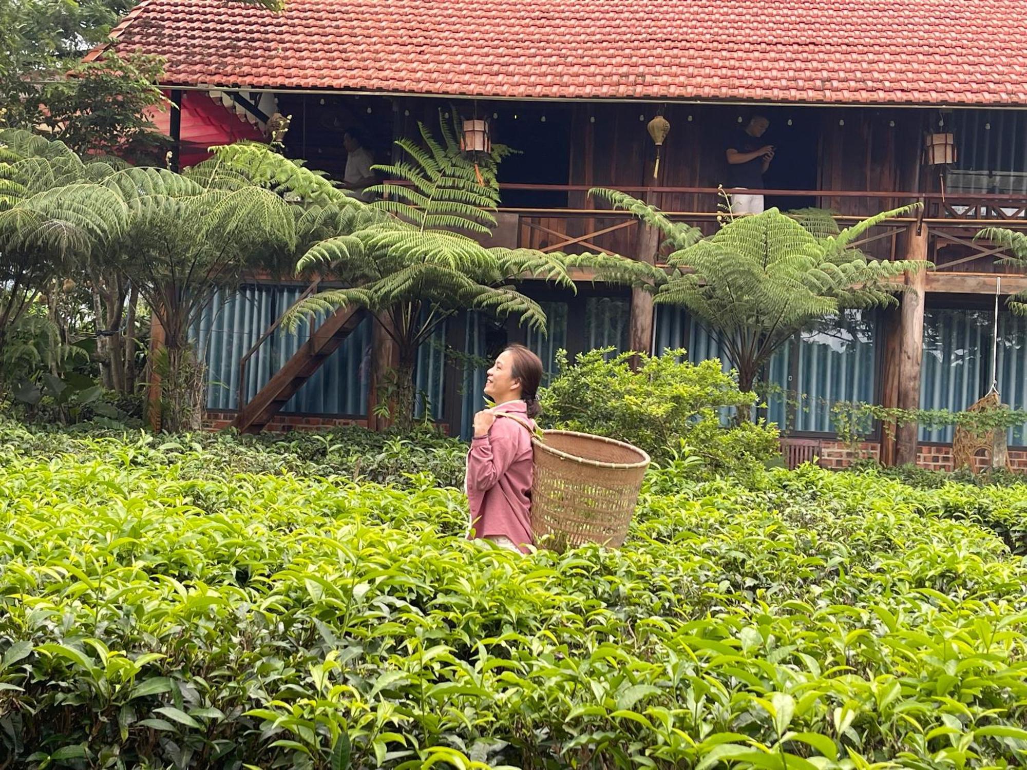 Вилла Tea Garden House Баолок Экстерьер фото