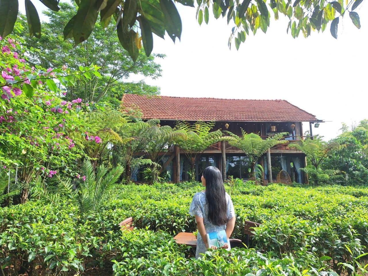Вилла Tea Garden House Баолок Экстерьер фото