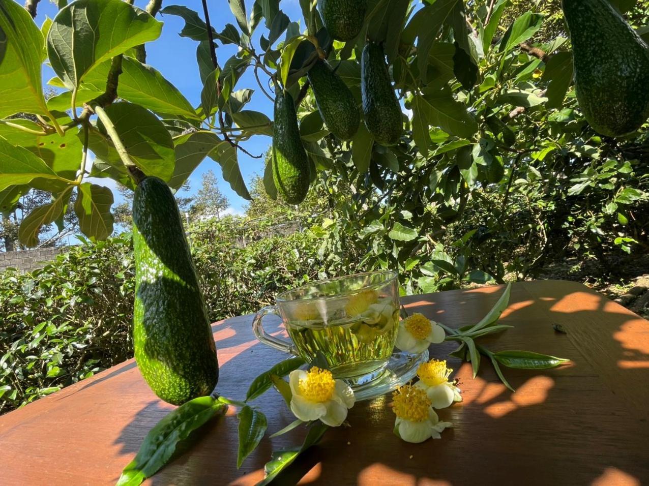 Вилла Tea Garden House Баолок Экстерьер фото